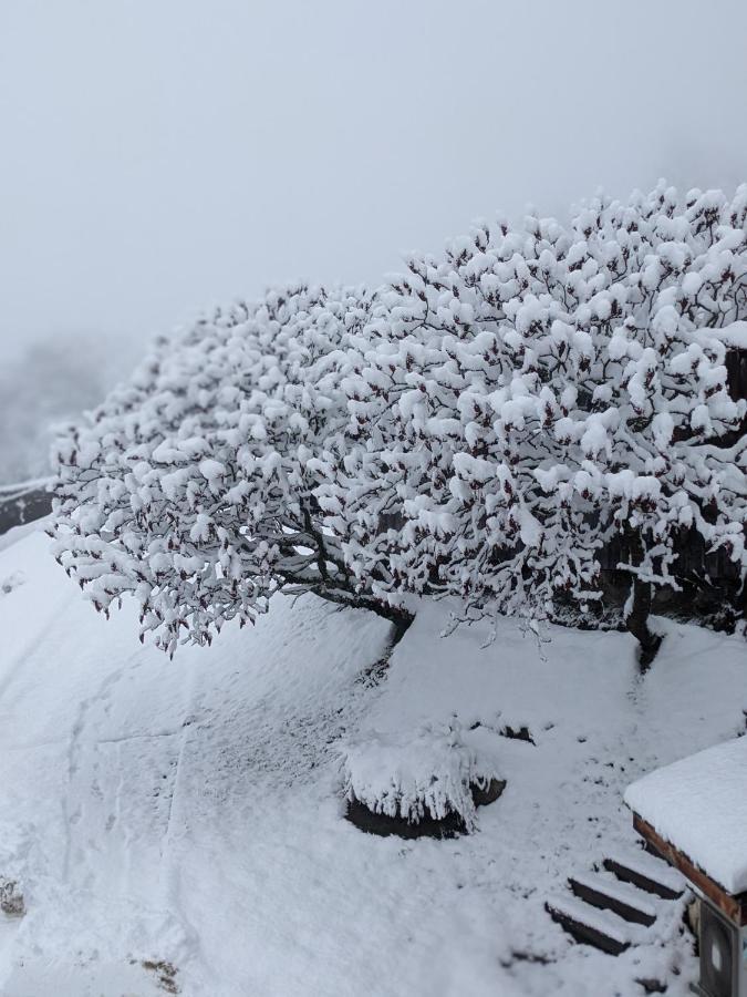 尚特梅勒1741住宿加早餐旅馆 萨莱切 外观 照片